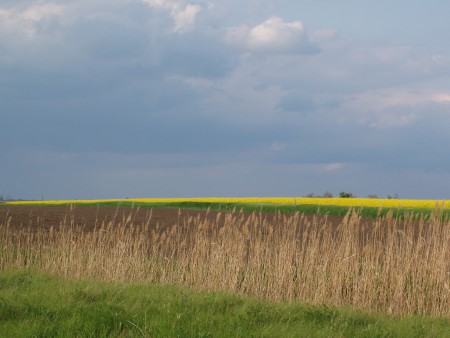 Puszta Ungherese